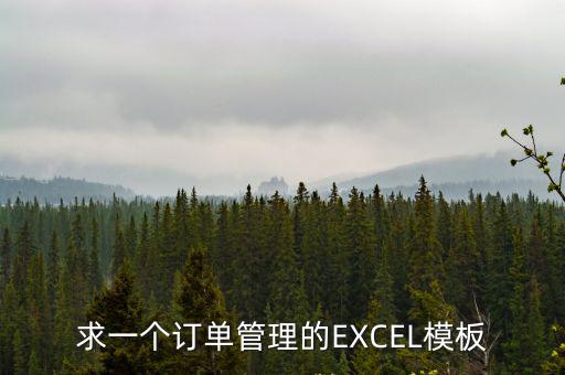 求一個訂單管理的EXCEL模板