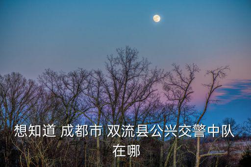 想知道 成都市 雙流縣公興交警中隊 在哪