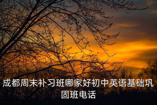 成都周末補習班哪家好初中英語基礎鞏固班電話