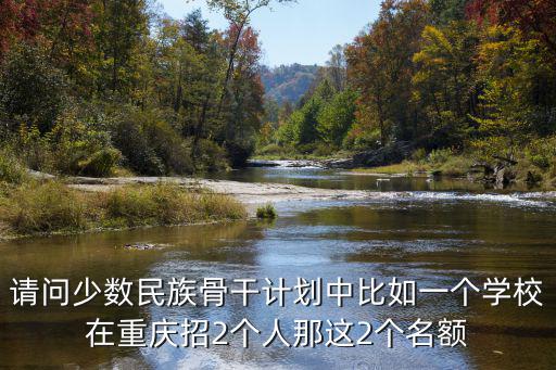 請問少數民族骨干計劃中比如一個學校在重慶招2個人那這2個名額