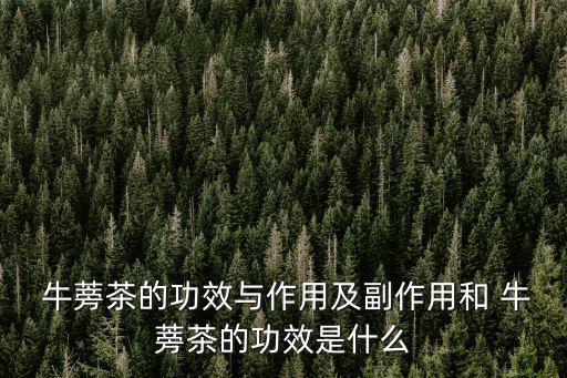  牛蒡茶的功效與作用及副作用和 牛蒡茶的功效是什么