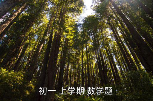 初一 上學期 數學題