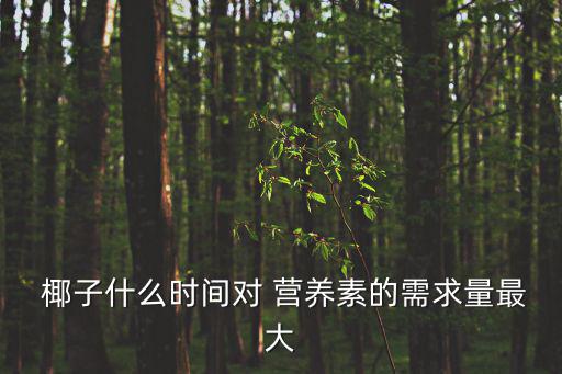 椰子營養,研究:每畝地有12棵椰子樹最多100個