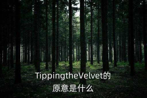 TippingtheVelvet的原意是什么