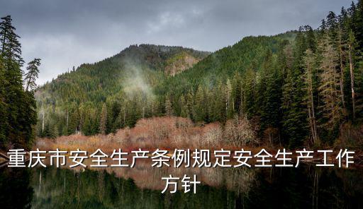 重慶市安全生產(chǎn)條例規(guī)定安全生產(chǎn)工作方針