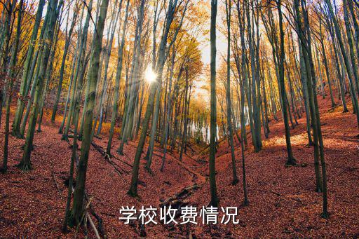 學校收費情況