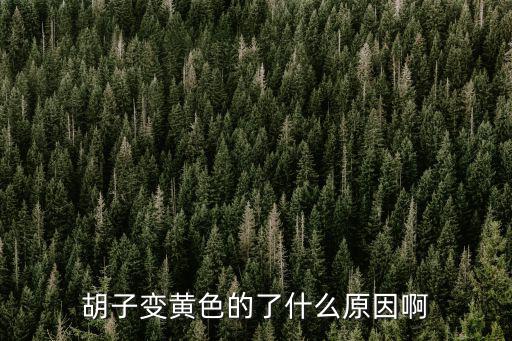 胡子變黃色的了什么原因啊