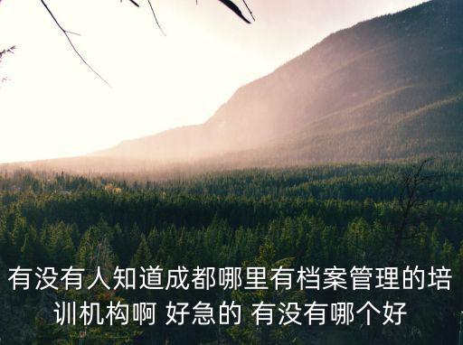 有沒有人知道成都哪里有檔案管理的培訓(xùn)機(jī)構(gòu)啊 好急的 有沒有哪個好