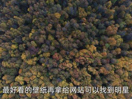 最好看的壁紙再拿給網站可以找到明星