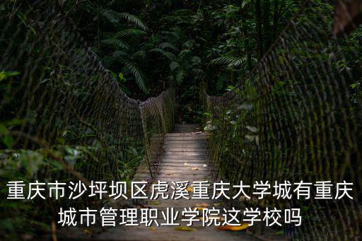 重慶市沙坪壩區虎溪重慶大學城有重慶城市管理職業學院這學校嗎