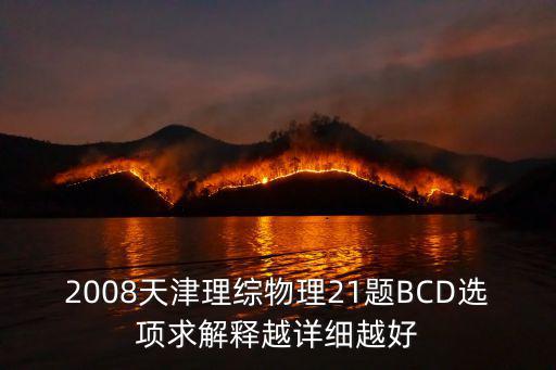 2008天津理綜物理21題BCD選項求解釋越詳細越好