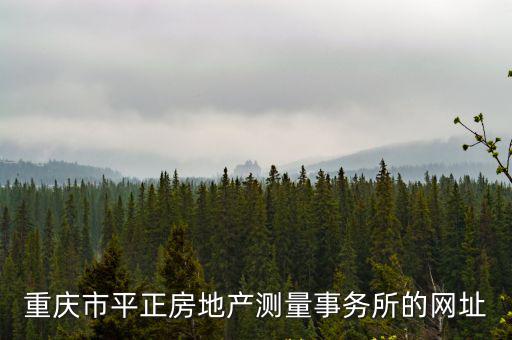重慶市平正房地產(chǎn)測量事務所的網(wǎng)址