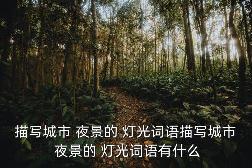 夜景燈光,第二集:夜晚燈火輝煌的魅力