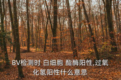 BV檢測時 白細胞 酯酶陽性,過氧化氫陽性什么意思