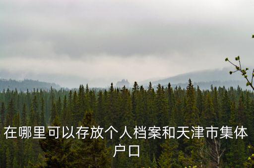 天津市南開區(qū)集體戶口檔案存檔地址，在哪里可以存放個(gè)人檔案和天津市集體戶口