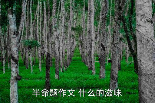 半命題作文 什么的滋味
