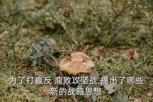 反腐敗斗爭,反-腐敗斗爭:新形勢下的主要特點