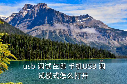  usb 調試在哪 手機USB 調試模式怎么打開