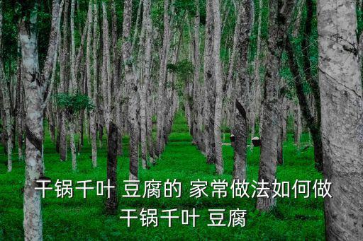 干鍋豆腐家常做法