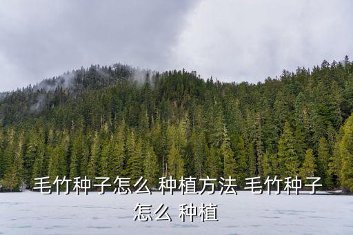 毛竹種植,竹子怎么種植?