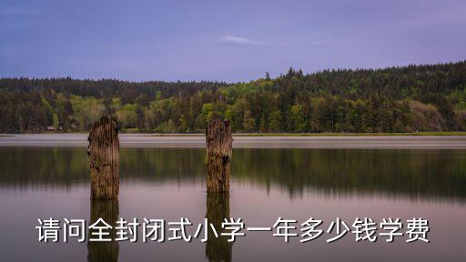 請問全封閉式小學一年多少錢學費