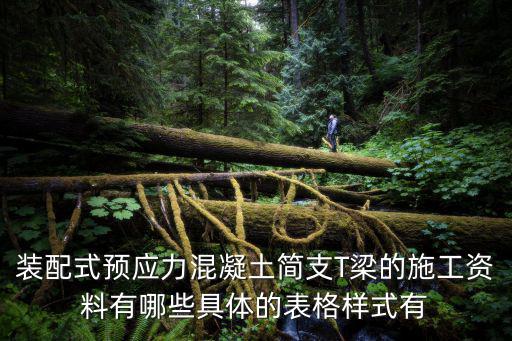 裝配式預(yù)應(yīng)力混凝土簡(jiǎn)支T梁的施工資料有哪些具體的表格樣式有