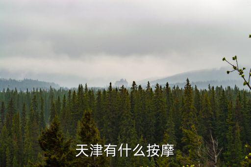 天津有什么按摩