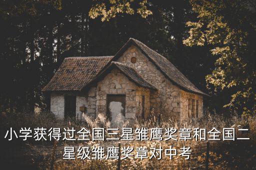 小學獲得過全國三星雛鷹獎章和全國二星級雛鷹獎章對中考
