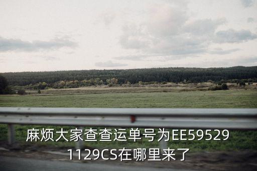 重慶市頂通物流公司，麻煩大家查查運單號為EE595291129CS在哪里來了