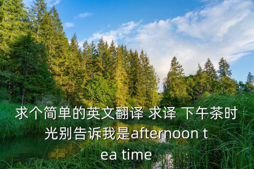 求個簡單的英文翻譯 求譯 下午茶時光別告訴我是afternoon tea time