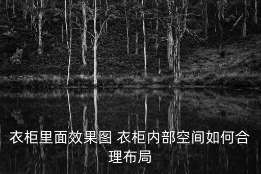 衣柜里面效果圖 衣柜內(nèi)部空間如何合理布局