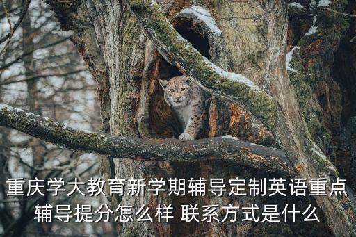 重慶學(xué)大教育新學(xué)期輔導(dǎo)定制英語(yǔ)重點(diǎn)輔導(dǎo)提分怎么樣 聯(lián)系方式是什么