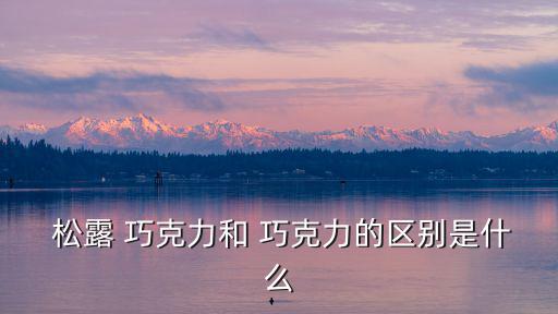 巧克力松露,松露巧克力外層裹顆粒狀可可粉看起來像是新鮮果干