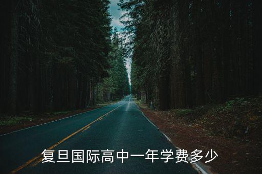 復旦國際高中一年學費多少