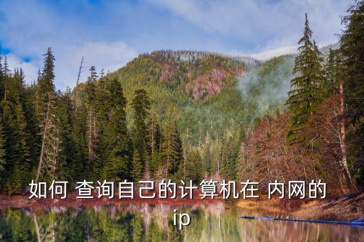 內(nèi)網(wǎng)ip查詢,如何查看內(nèi)網(wǎng)ip地址?一文看懂