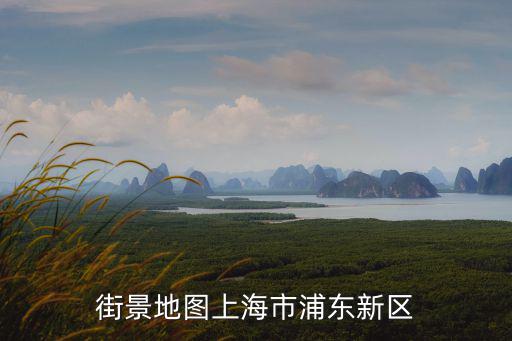 街景地圖上海市浦東新區