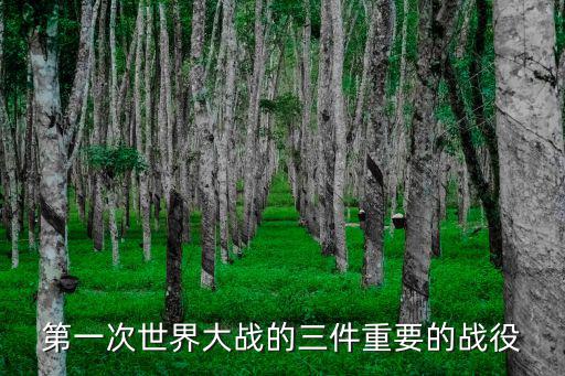 加里波利之戰,第二次馬恩河戰役英德等國戰敗而告終