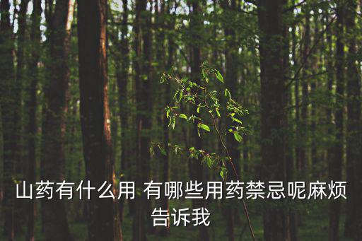 山藥的功效與作用禁忌，山藥的藥用價值和禁忌