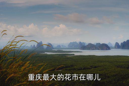 重慶最大的花市在哪兒
