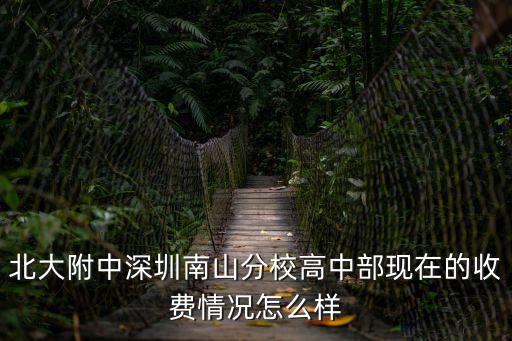 天津市北大附中高中部收費標準，寶坻的北大附屬實驗中學怎么樣學習風氣好嗎有在那上學的嗎