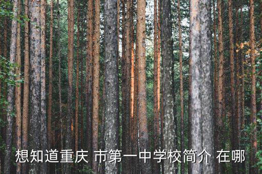 想知道重慶 市第一中學校簡介 在哪