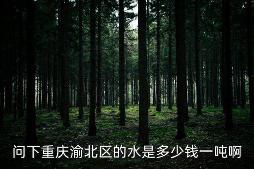 問下重慶渝北區的水是多少錢一噸啊