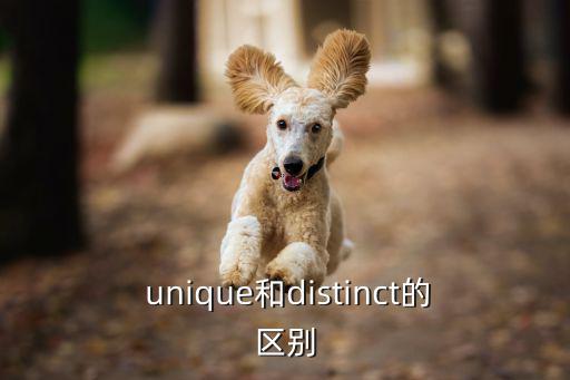 unique,unique短語:一起來看看澳洲特色游