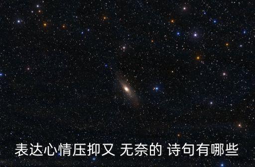 表示無奈的詩句,第二集:無奈花落似曾相識