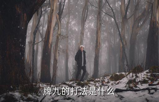 牌九的打法是什么