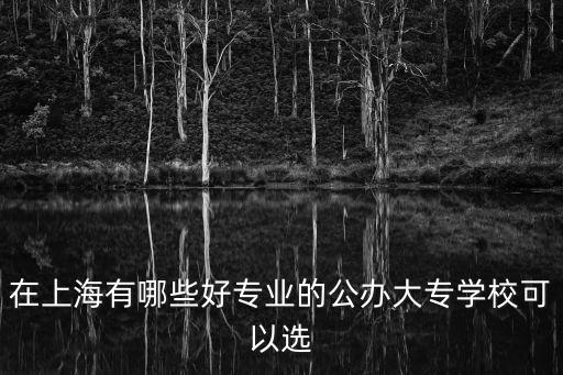 在上海有哪些好專業(yè)的公辦大專學(xué)校可以選