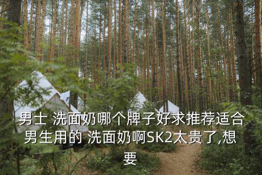  男士 洗面奶哪個牌子好求推薦適合男生用的 洗面奶啊SK2太貴了,想要