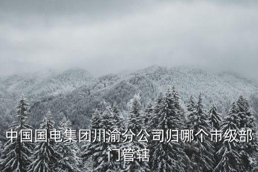 中國國電集團川渝分公司歸哪個市級部門管轄