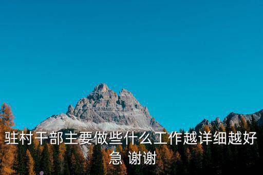 駐村干部主要做些什么工作越詳細越好 急 謝謝