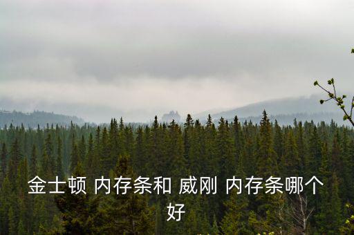金士頓 內(nèi)存條和 威剛 內(nèi)存條哪個好